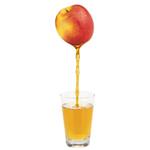 Tefal ZE610D38 Easy Fruit Juicer 
