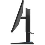 24,5" Lenovo G25-20