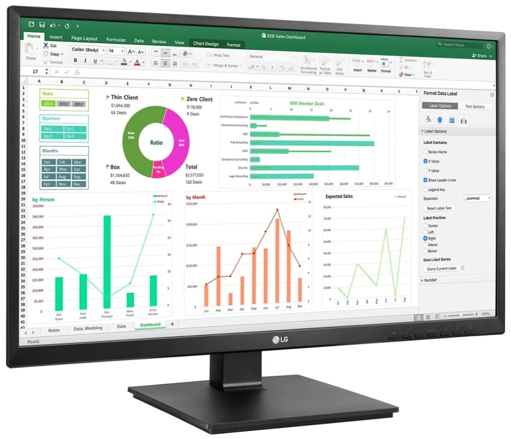 24" LG 24BN55YP