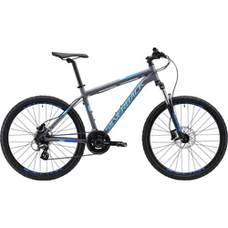 26" SILVERBACK 2019 Stride Comp - 14" - titanium grey/ bright blue/ coastal blue