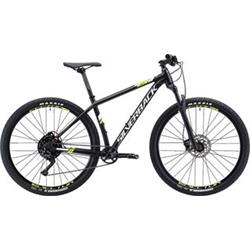 29"  SILVERBACK 2020 Sola 2 - 18"/M - aston black/ arctic white/ peridot lime