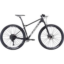 29"  SILVERBACK 2020 Superspeed 1.0 - 20,5"/L - raw carbon/ arctic white/ aston black