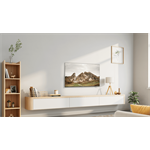 32" TCL 32L5A