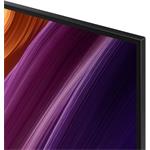 48" SAMSUNG QE48S95H (2026)