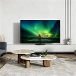 55" OLED Panasonic TX-55LZ1000E (UHD)