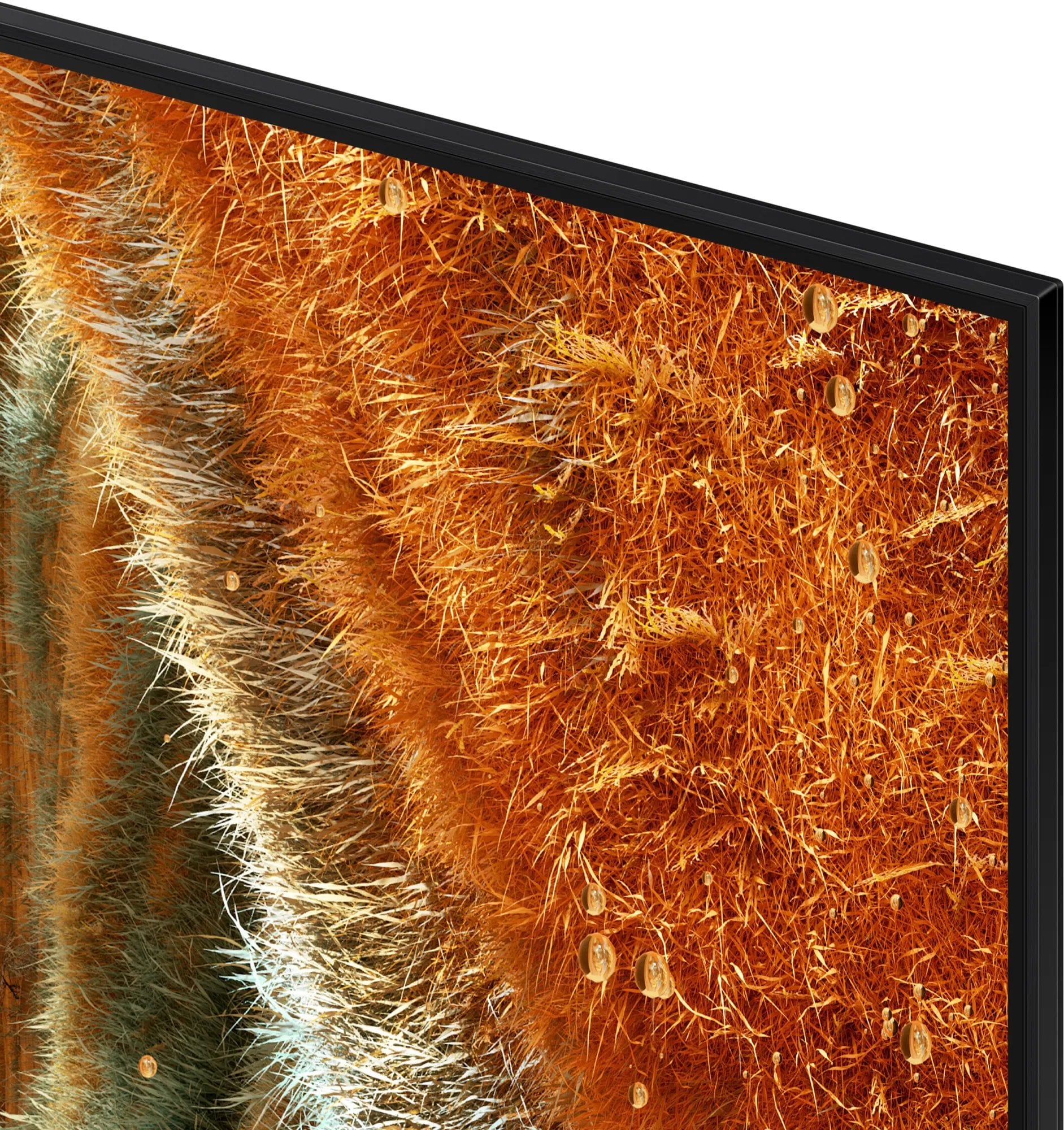 55" SAMSUNG QE55QN70F EU (2025)