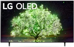 65" LG OLED65A13LA