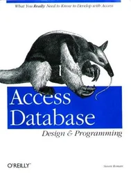 Access - návrh a programování