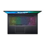 Acer Predator Helios 300 (PH317-55-790N) (NH.QB7EC.007)