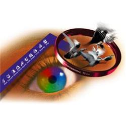 Adobe Photoshop CS (8.0) Cz Win