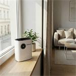 AERIUM DH500 Ionic