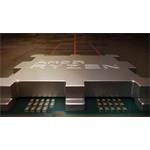AMD RYZEN 7 7700X