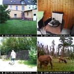 Apeman fotopast Trail Cam H70