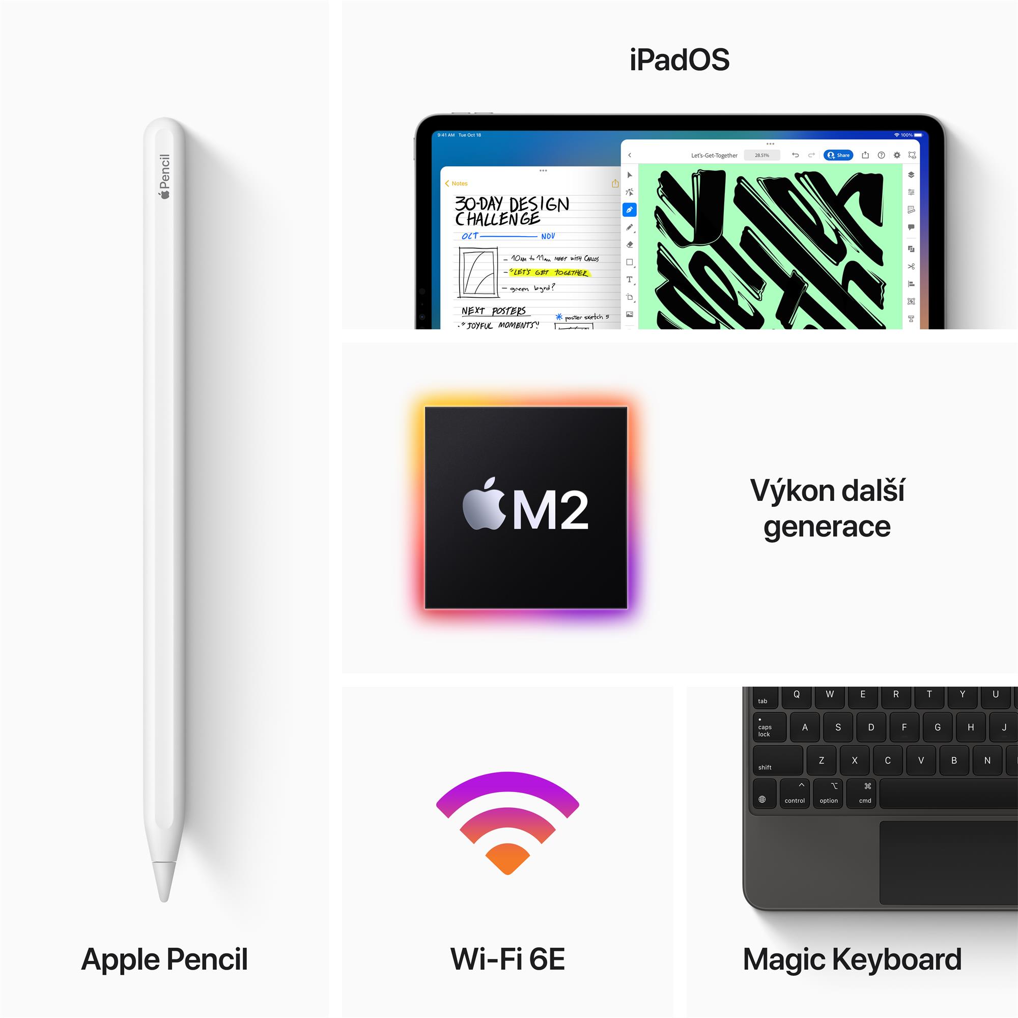 APPLE iPad Pro M2 2022 11" Wi-Fi 256 GB Space Grey (MNXF3FD/A)