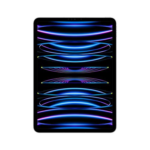 Apple iPad Pro M2 2022 11" Wi-Fi+Cellular 1TB Silver (MNYK3FD/A)