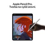 Apple iPad Pro M4 2024 13" Wi-Fi 1TB Strieborné sklo s nano textúrou (MWRG3HC/A)