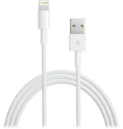 Apple Lightning datový kabel USB (MD819ZM/A)