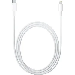 Apple Lightning to USB-C Cable (1 m)