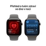 Apple Watch Series 10 GPS + Cellular 46mm Natural Titanium Case with Stone Grey Sport Band - S/M (MWY93QC/A)