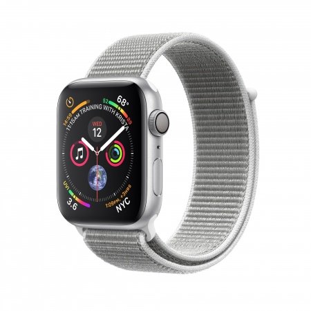 seashell sport loop