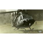 Arma II Complete Collection, Arma 2 elektronická licence