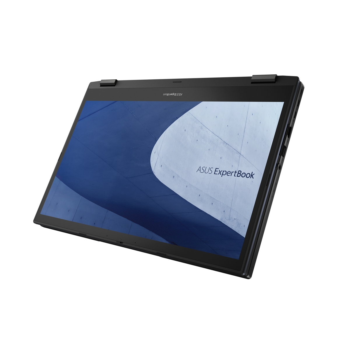 ASUS ExpertBook L2 Flip L2502FYA-E60002X Black