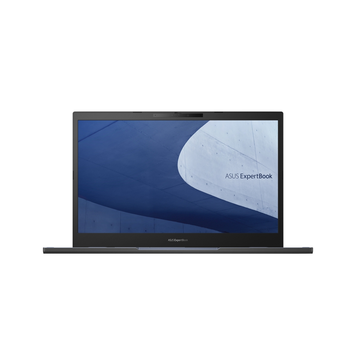 ASUS ExpertBook L2 L2502CYA-BQ0003X čierna