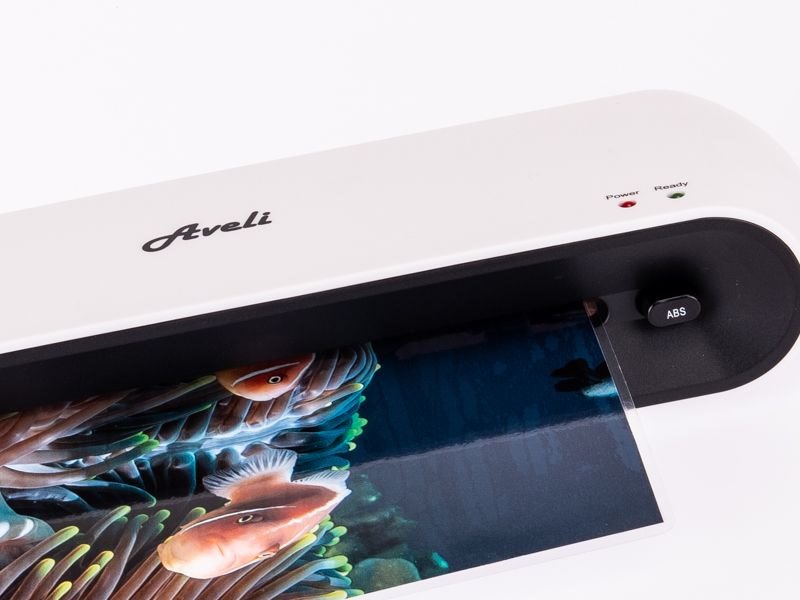 AVELI S A4 XRT-00238