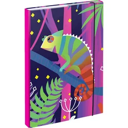 BAAGL Zakladače na školské zošity A4 Chameleon