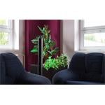 BIONAIRE BTF002X Sloupový ventilátor
