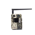 Bolyguard BG310-M