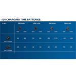 Bosch GBA 12V 3,0 Ah Professional (1.600.A00.X79)