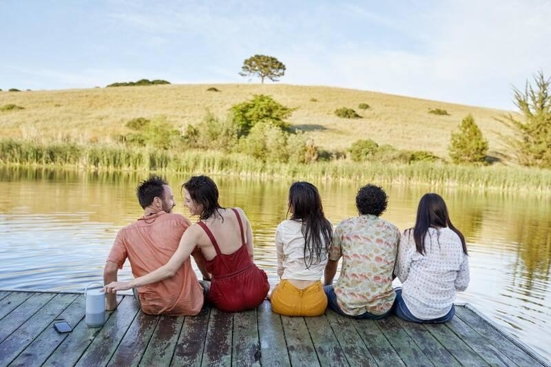 BOSE Portable Home Speaker, stříbrný