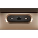 Bowers & Wilkins Zeppelin Pro Solar Gold