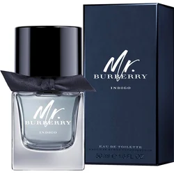 Burberry Mr. Burberry Indigo EdT 50 ml Pre mužov