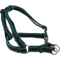 Buster Harness Airmesh reflexný XL, 25 mm zelený