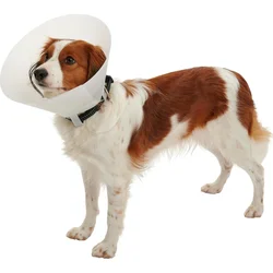 Buster Límec ochranný neprůhledný Classic Collar 7,5cm