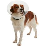 Buster Límec ochranný plastový Clic Collar 10cm