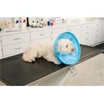 Buster Límec ochranný Soft Flex Collar 12,5cm