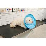 Buster Límec ochranný Soft Flex Collar 30cm