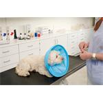 Buster Ochranný obojok Soft Flex 25cm