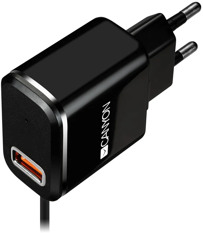 CANYON Univerzální 1xUSB nabíječka do sítě s ochranou proti přepětí, Micro USB Input 100V-240V, černá (CNE-CHA041BS)