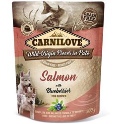 Carnilove Dog Pouch Paté Salmon with Blueberries for Puppies 300g kapsičky pro psy