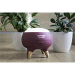 Concept DF1011 Aroma difuzér Perfect Air Berry