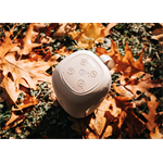 Concept SoundJoy BR5021 Taupe