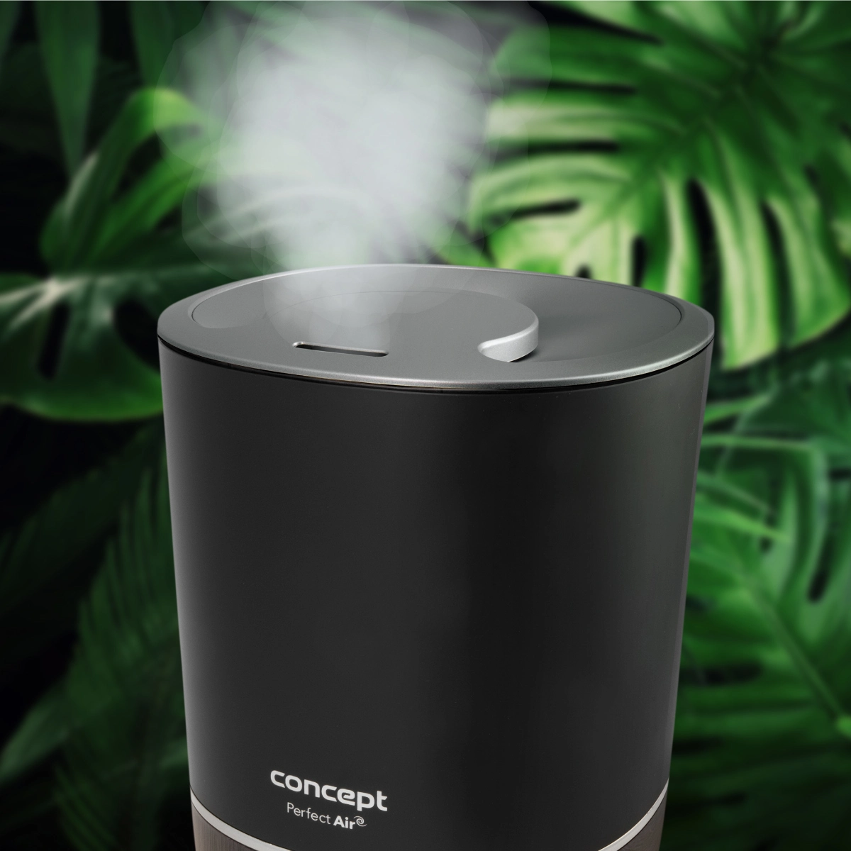 Concept ZV1210 Zvlhčovač vzduchu s aromadifuzérem
