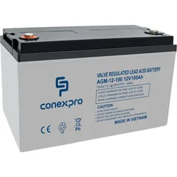 Conexpro AGM 12V, 100Ah, 10 rokov, M8