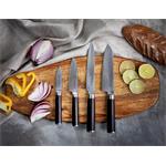 CS Solingen Santoku nôž Damascénska nerezová oceľ KONSTANZ, 12,5 cm