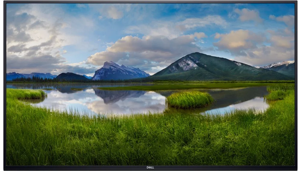 DELL C5519QA (210-BFUB)