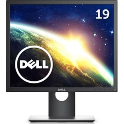 DELL P1917S Professional (210-AJBG)